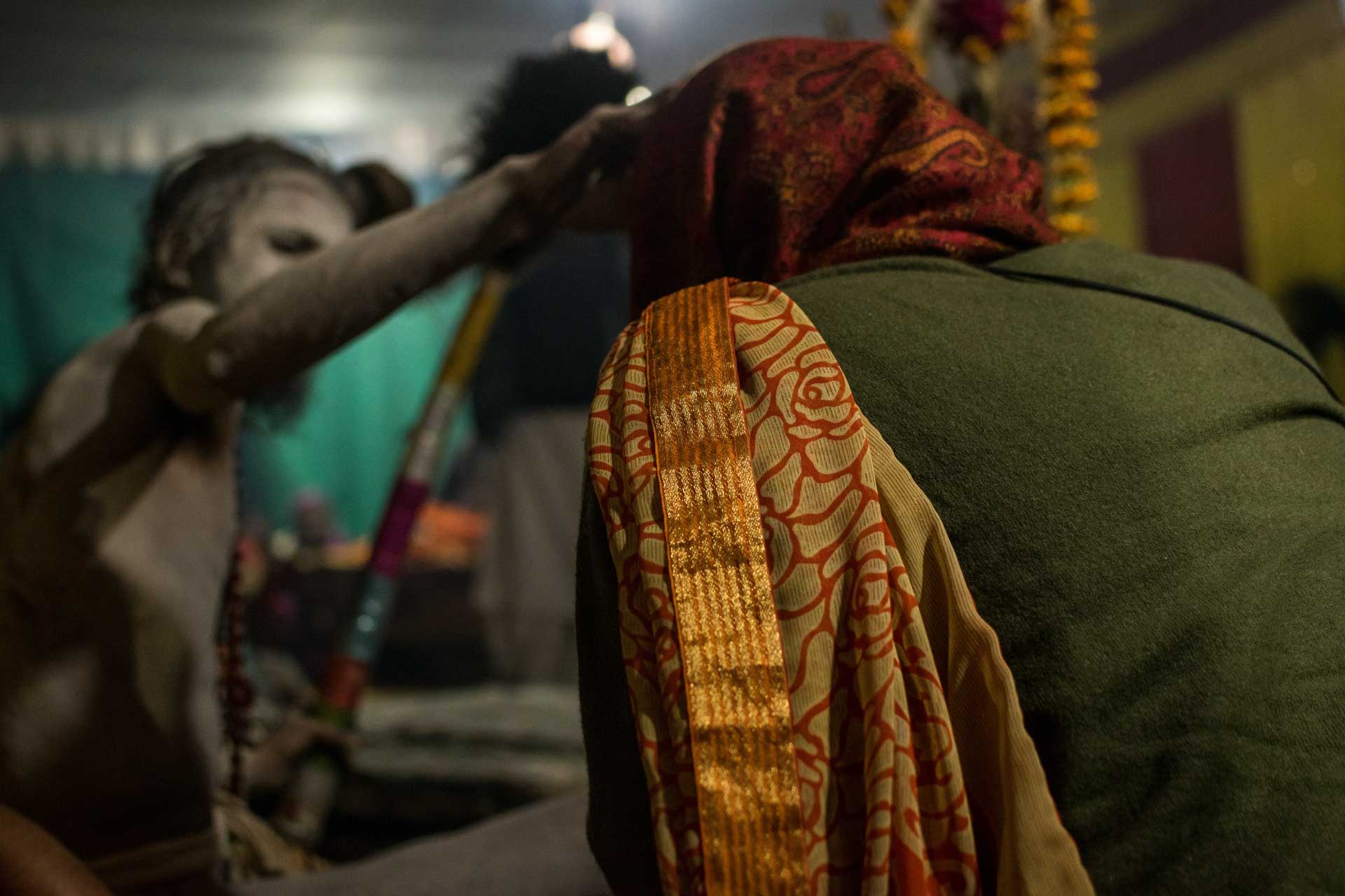 humans gallery image