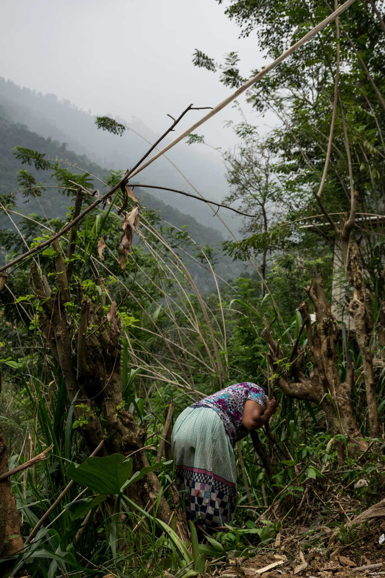 humans gallery image