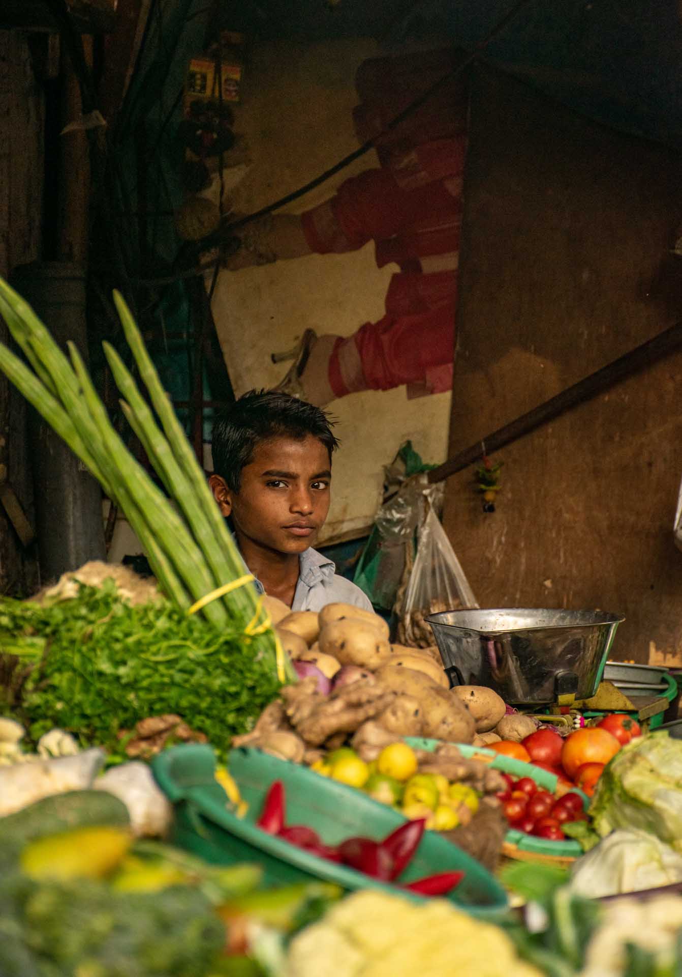 humans gallery image