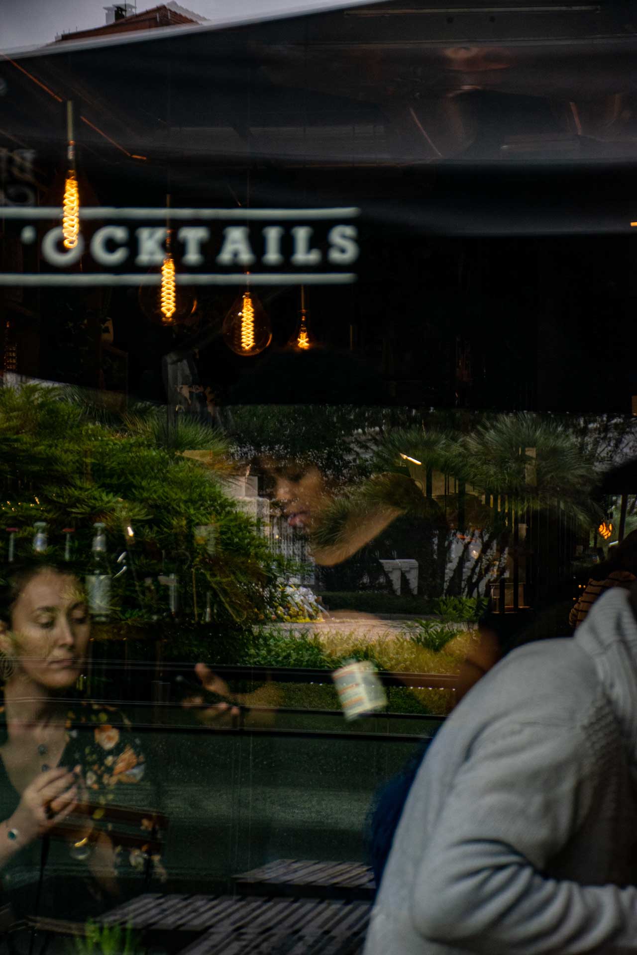 humans gallery image