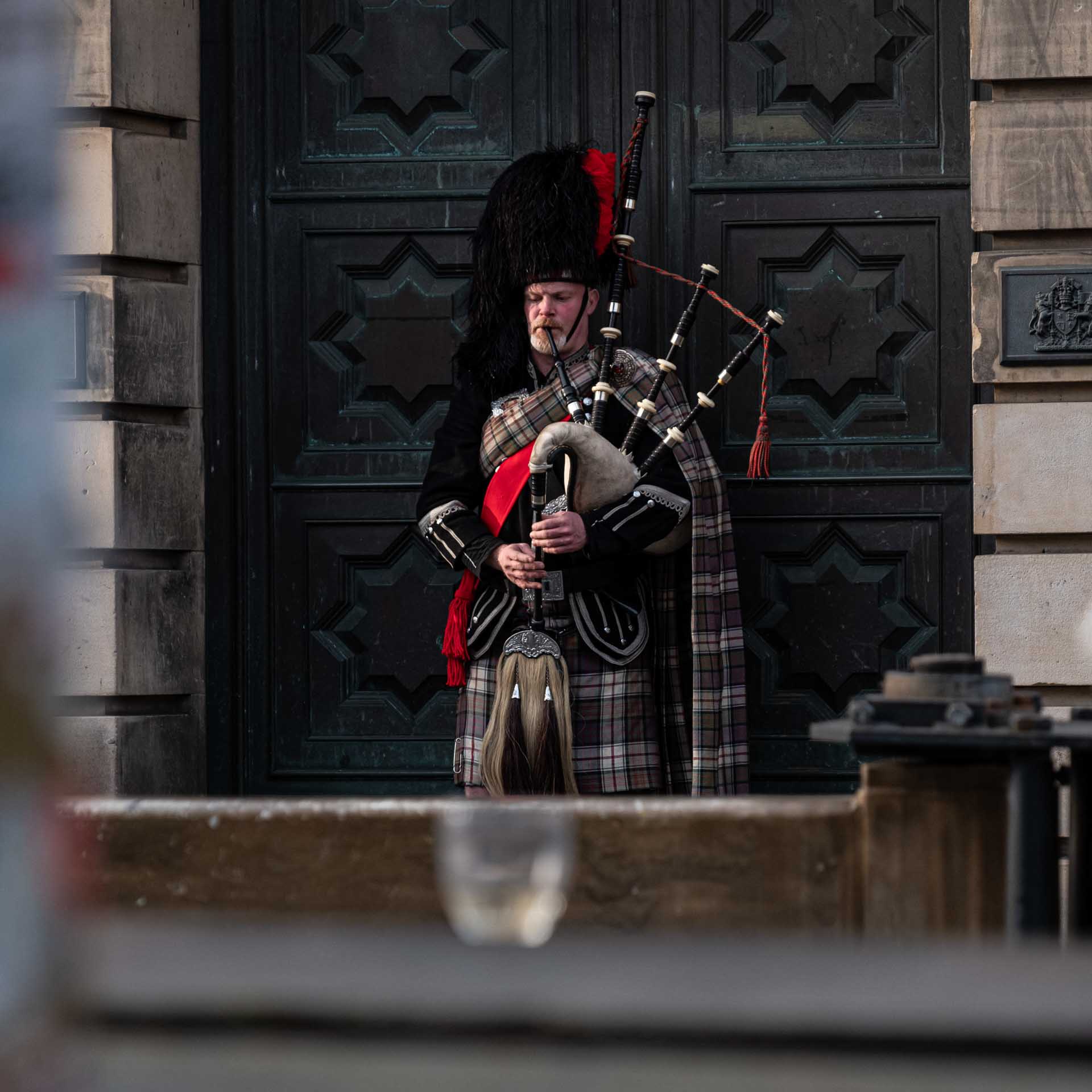 humans gallery image