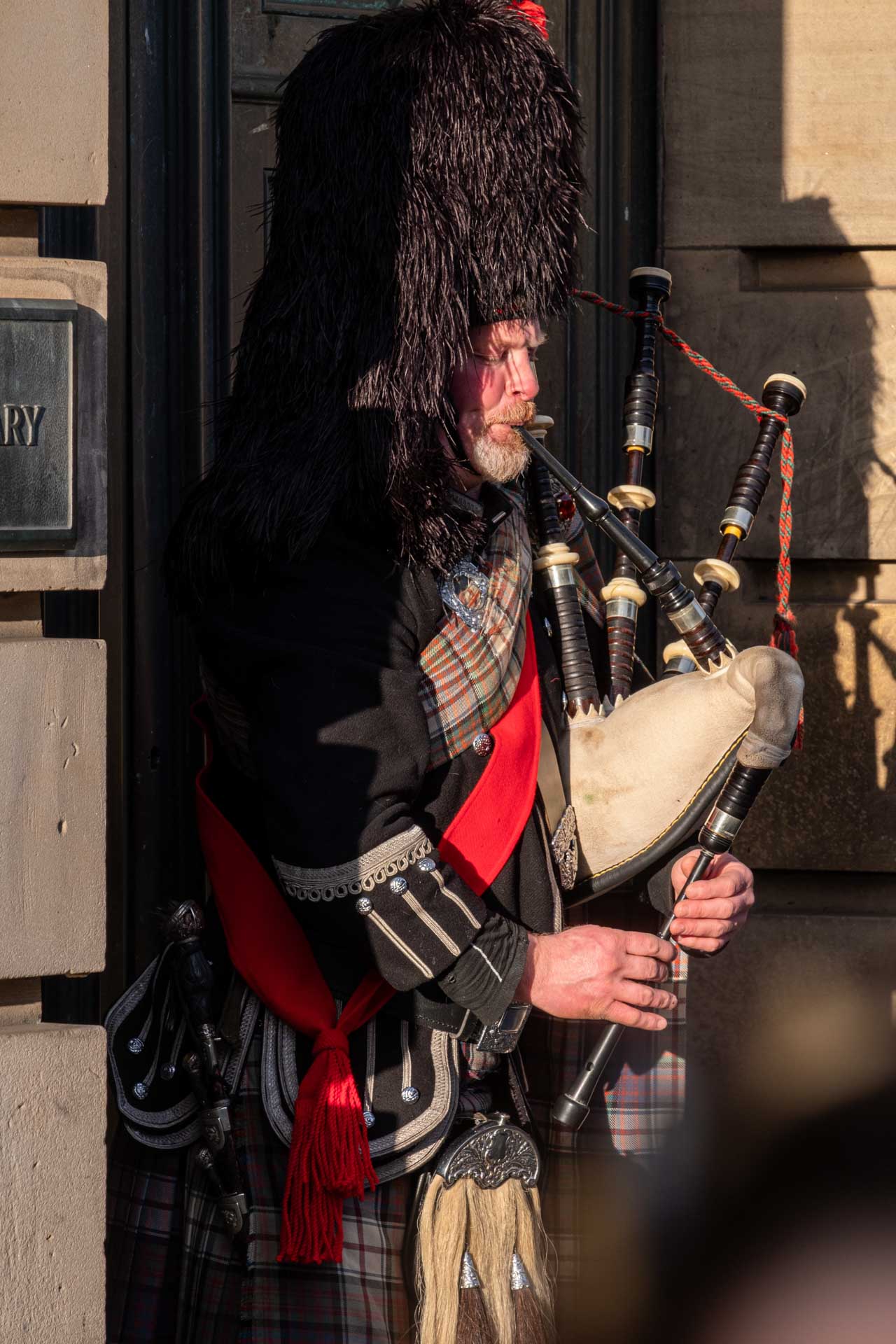 humans gallery image