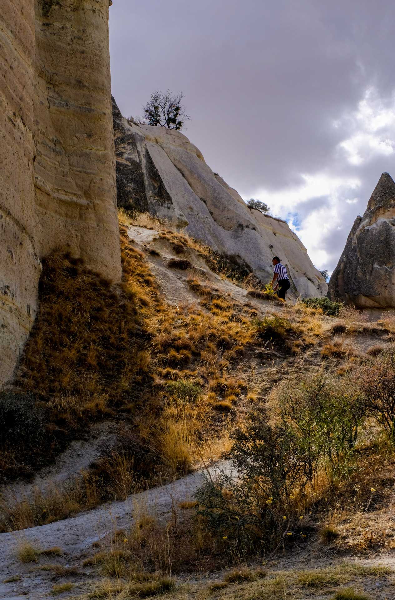 humans gallery image