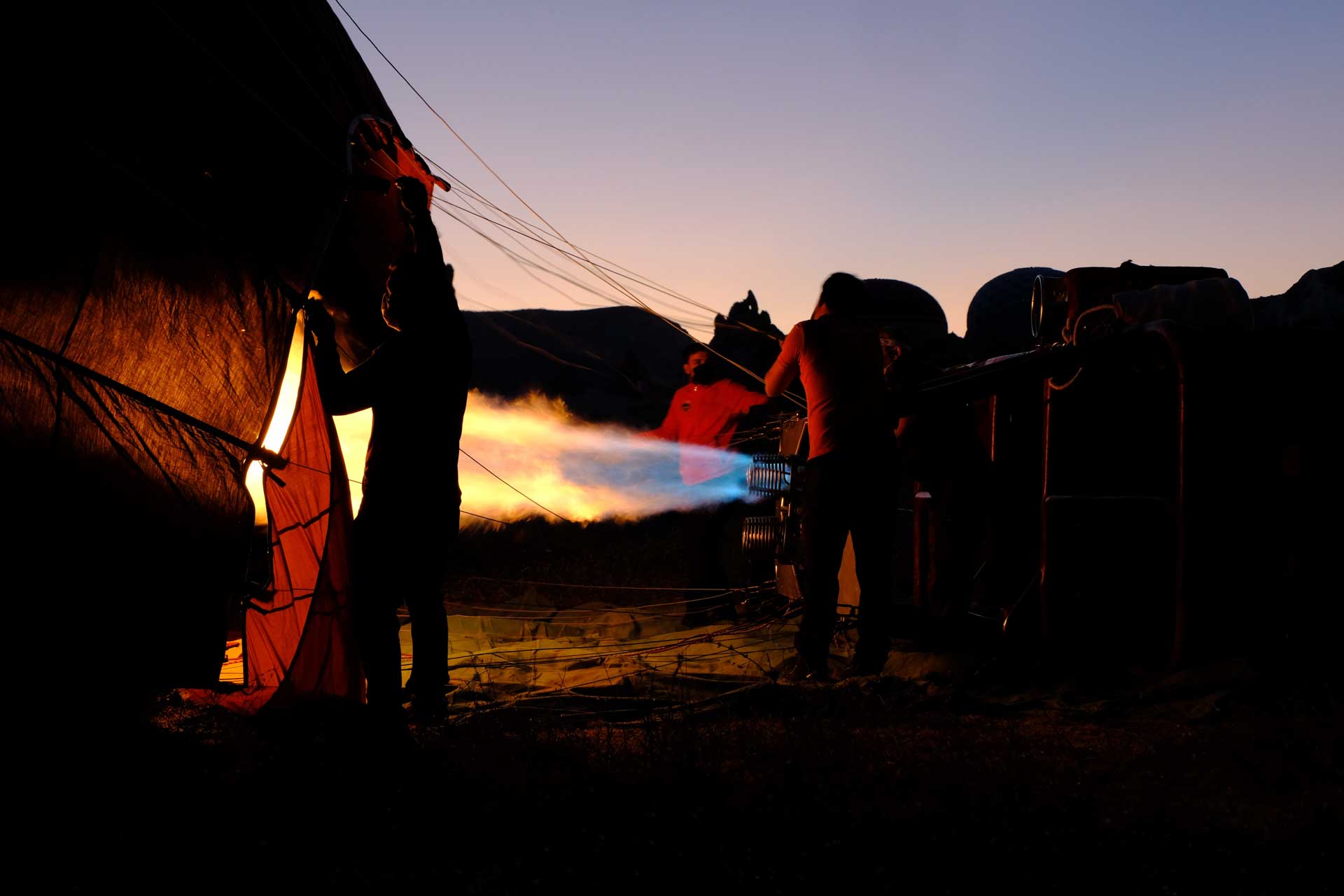 humans gallery image