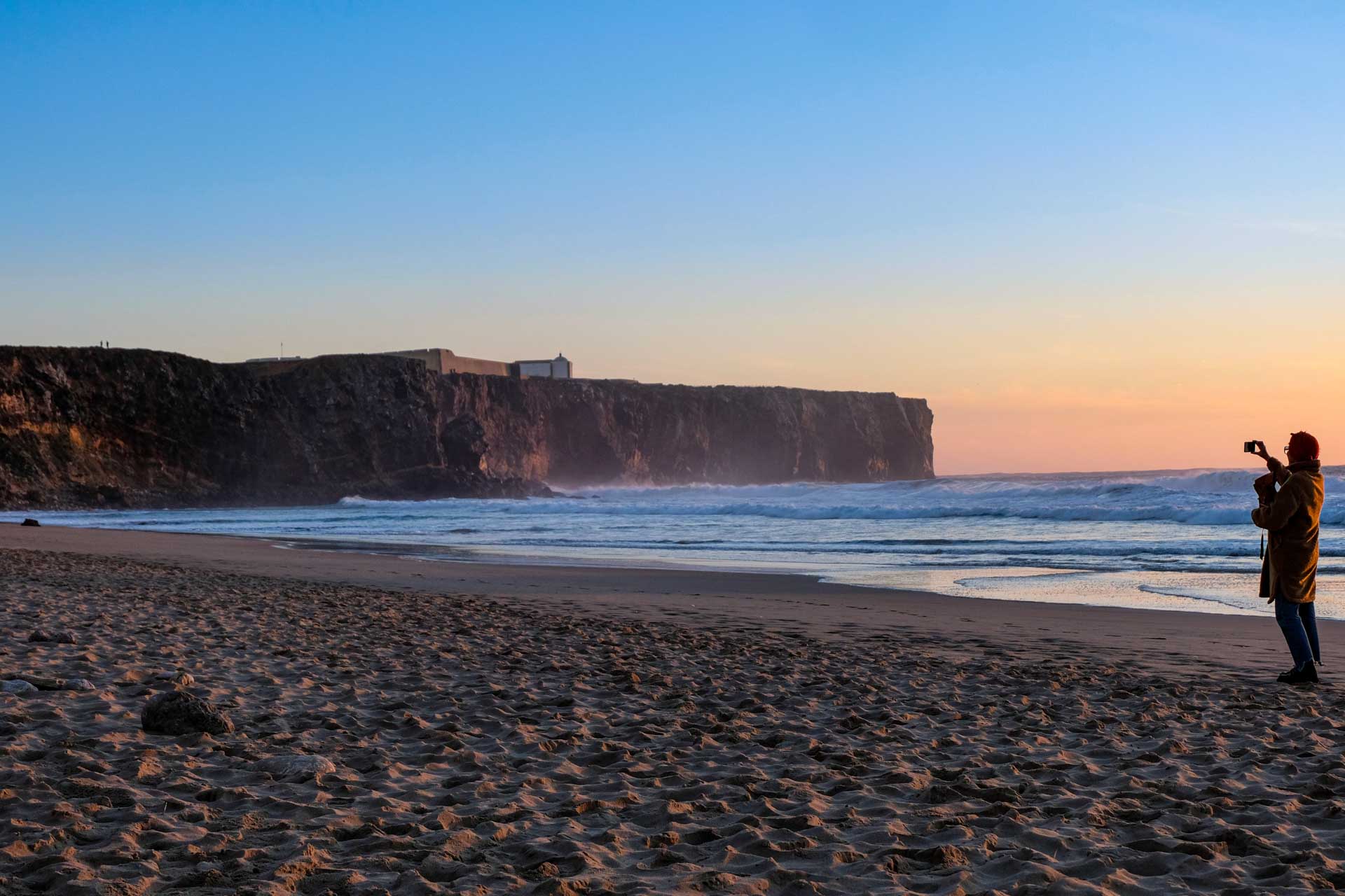 humans gallery image