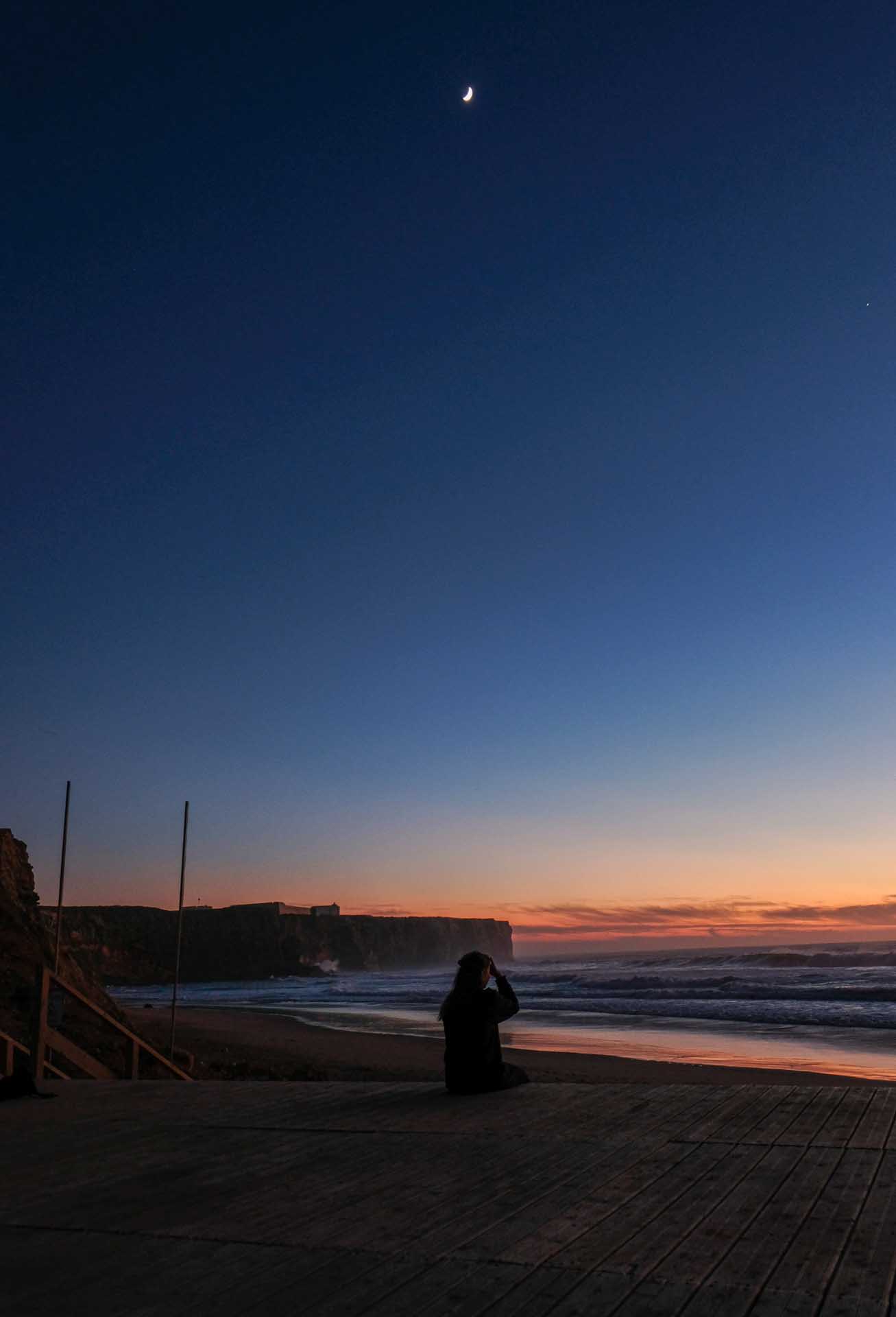 humans gallery image