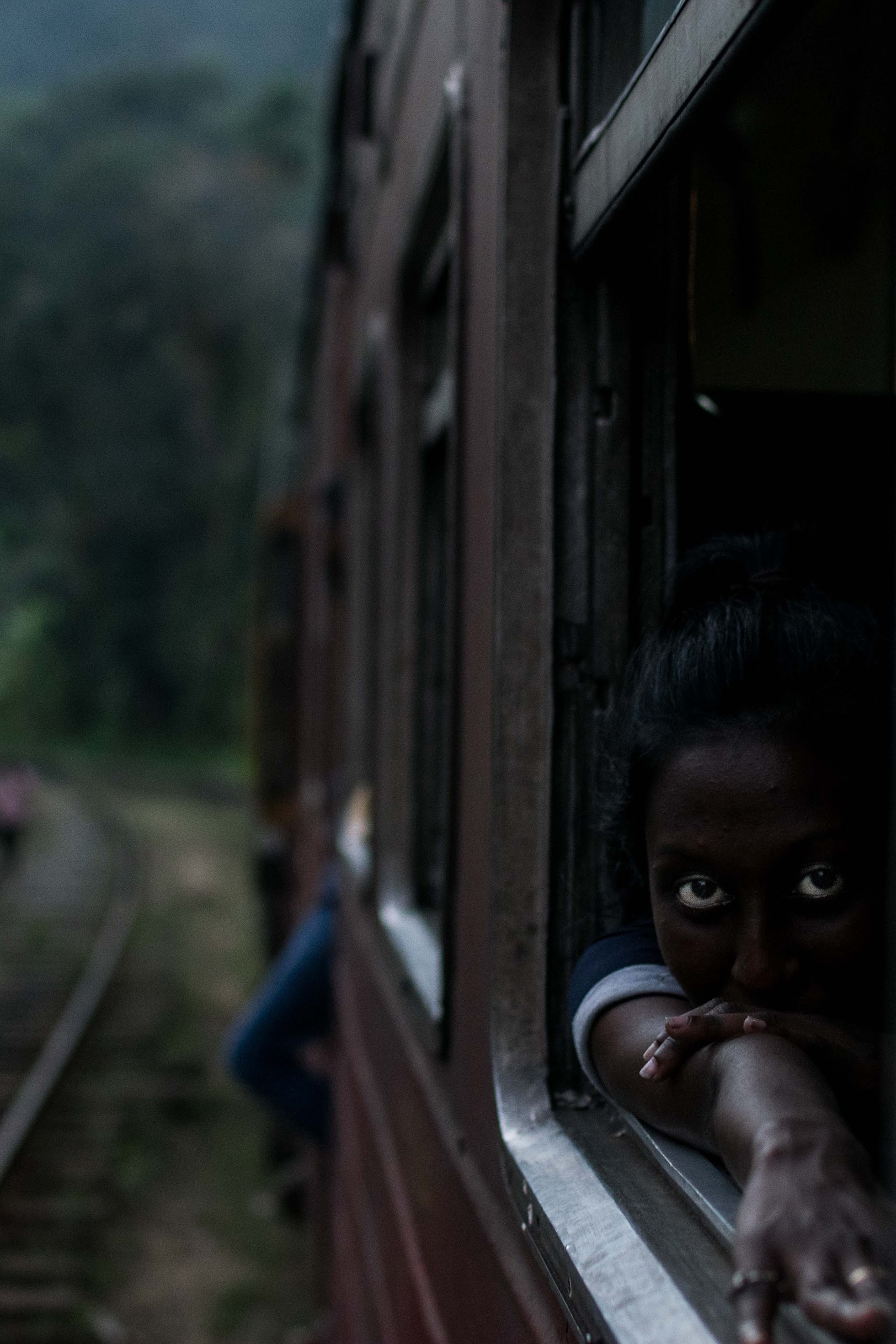 humans gallery image