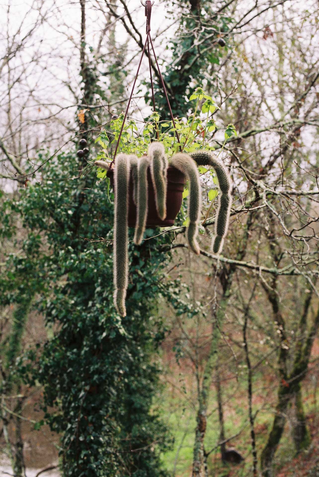 norte 2024/02 gallery image