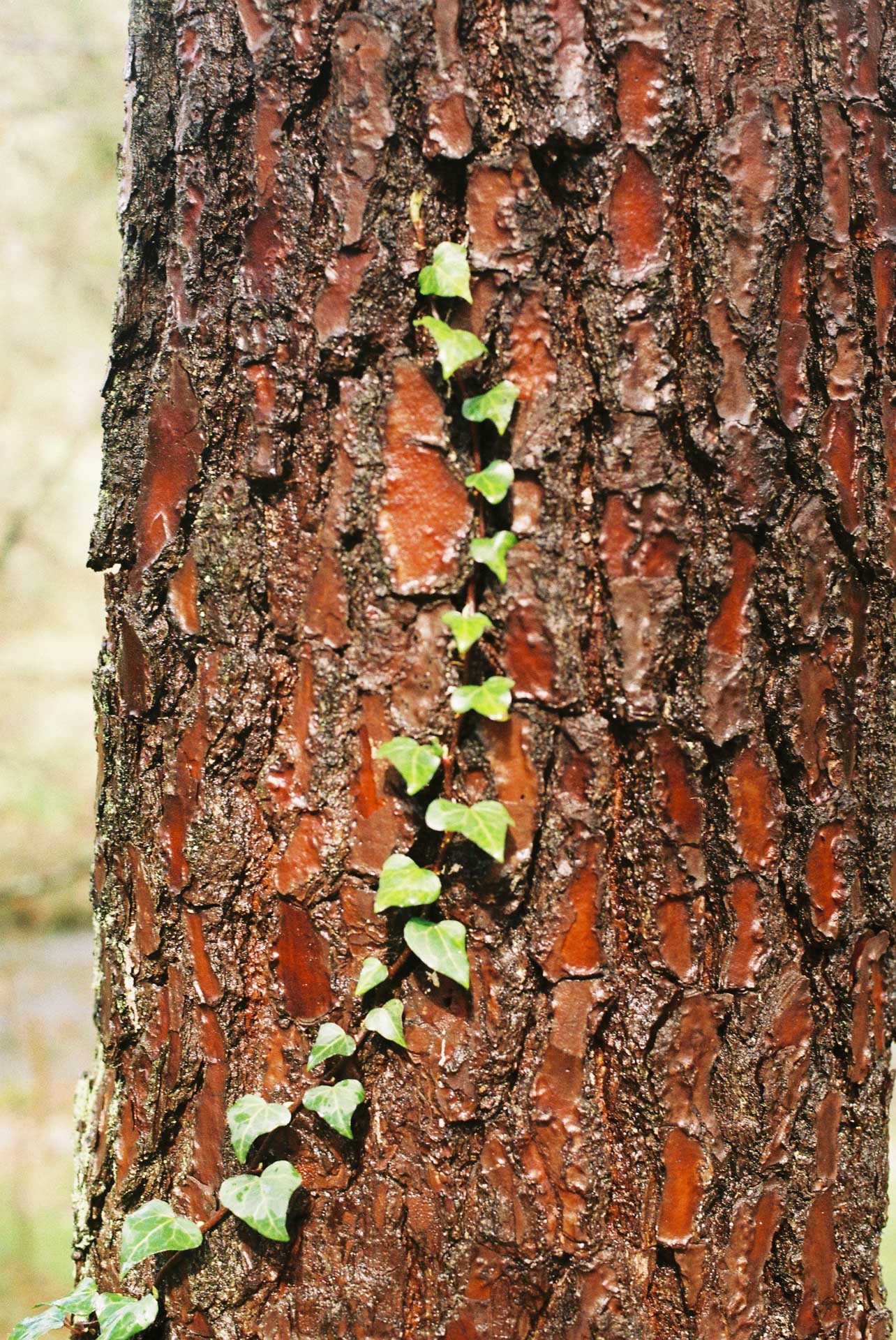 norte 2024/02 gallery image