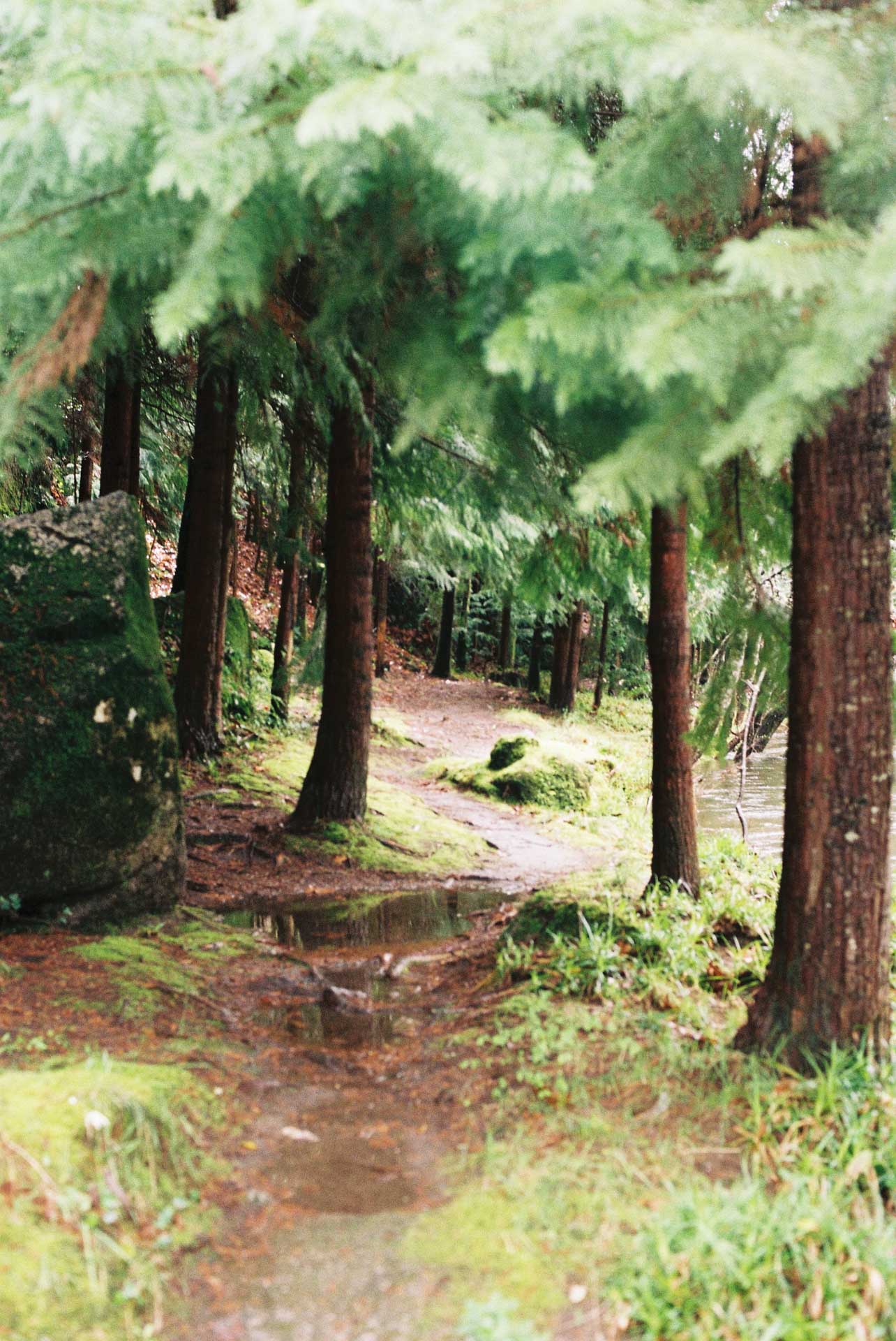 norte 2024/02 gallery image