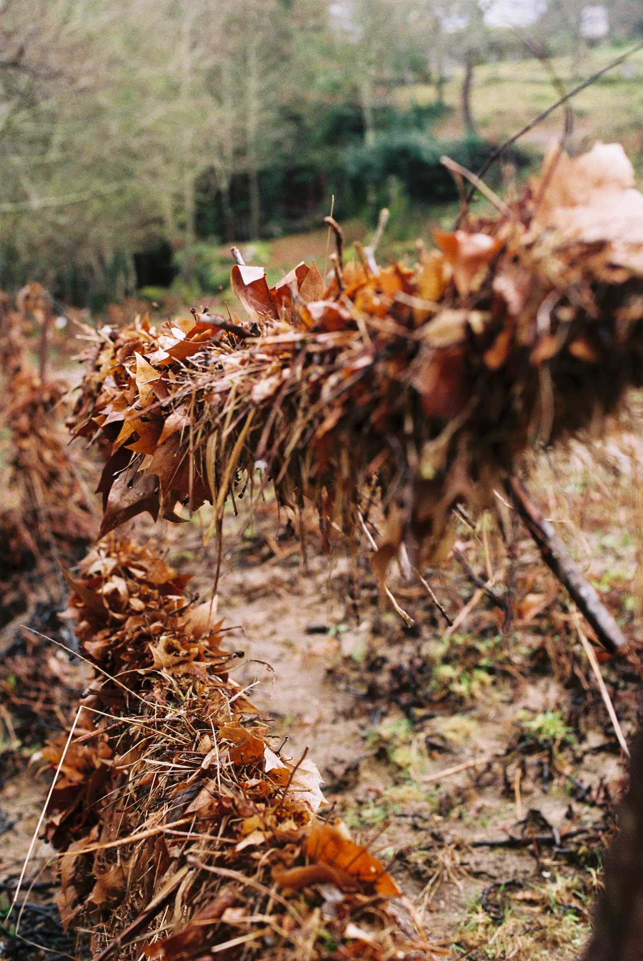 norte 2024/02 gallery image