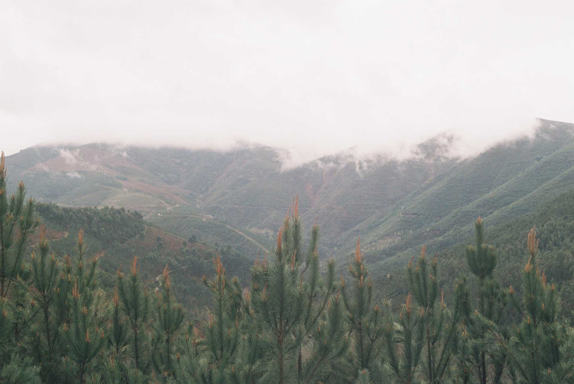 norte 2024/02 gallery image