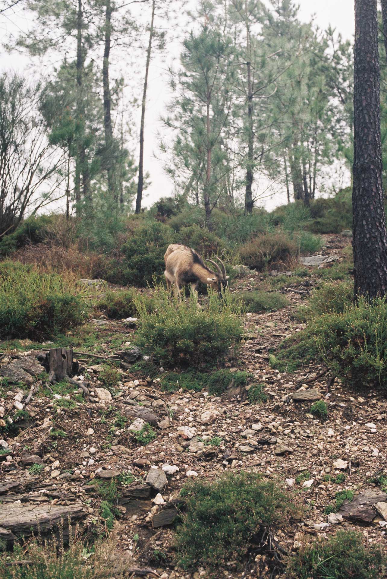 norte 2024/02 gallery image