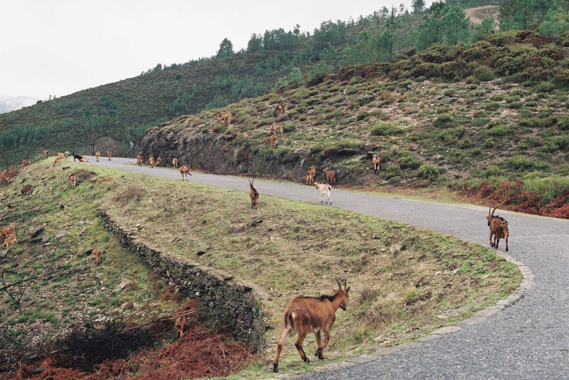 norte 2024/02 gallery image