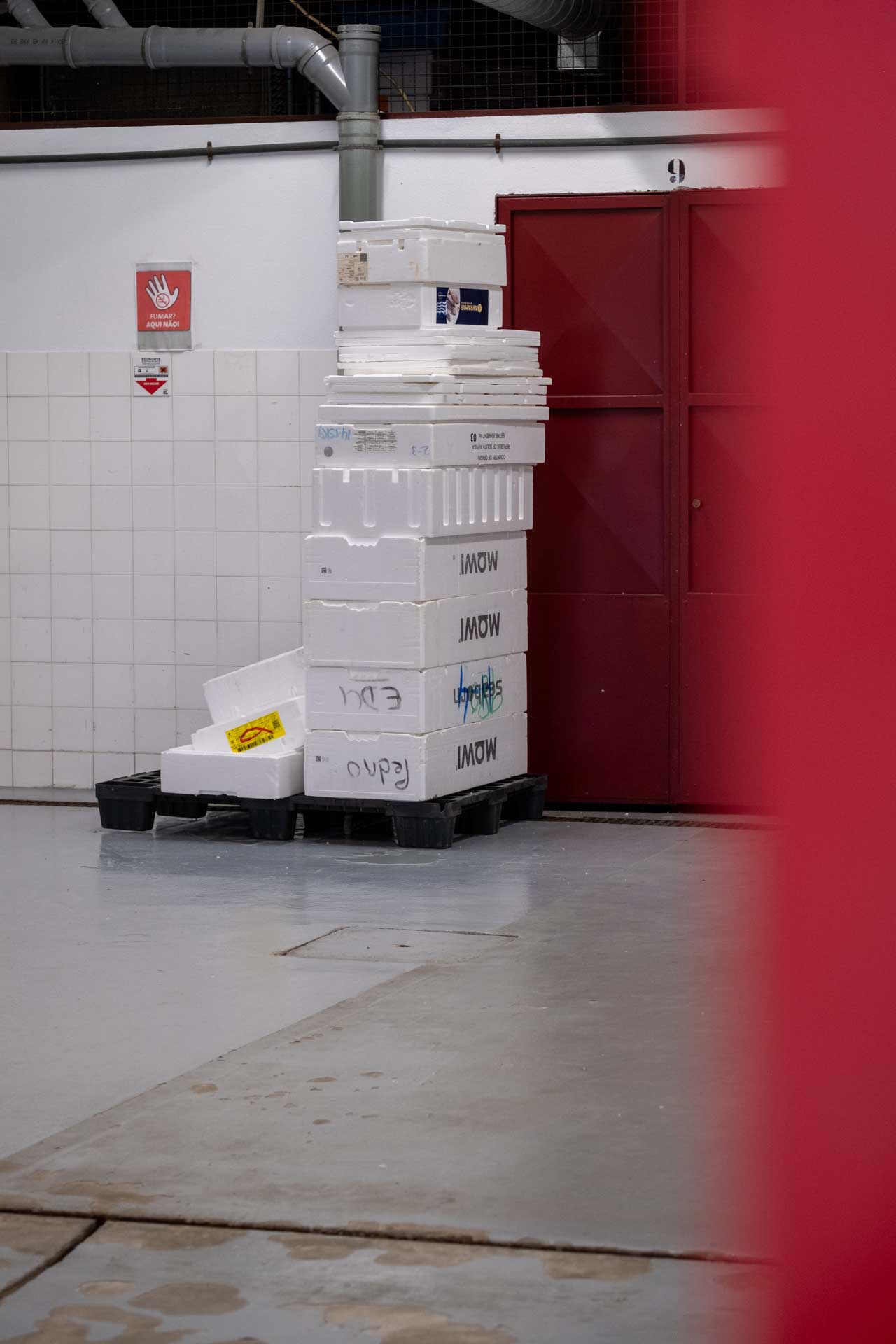 mercado municipal de matosinhos gallery image