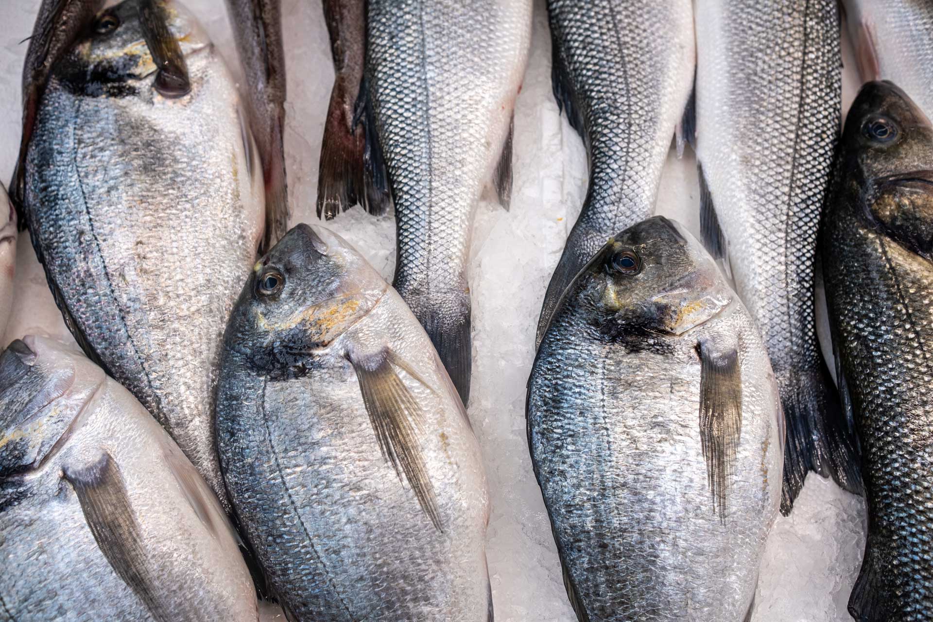 mercado municipal de matosinhos gallery image