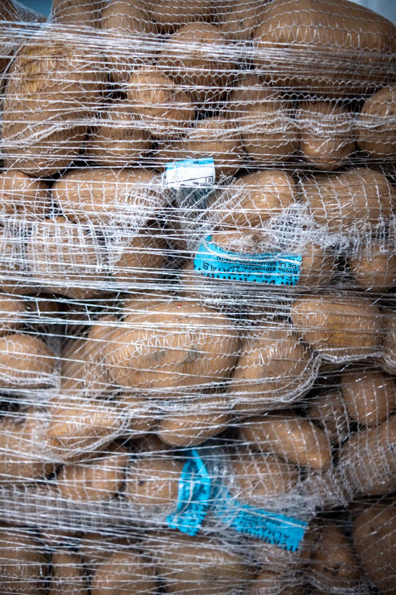 mercado municipal de matosinhos gallery image