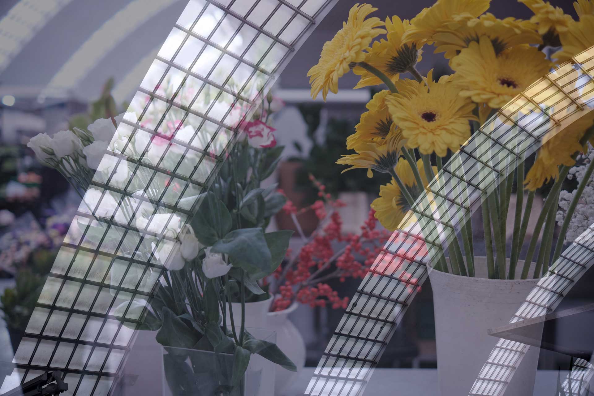 mercado municipal de matosinhos gallery image