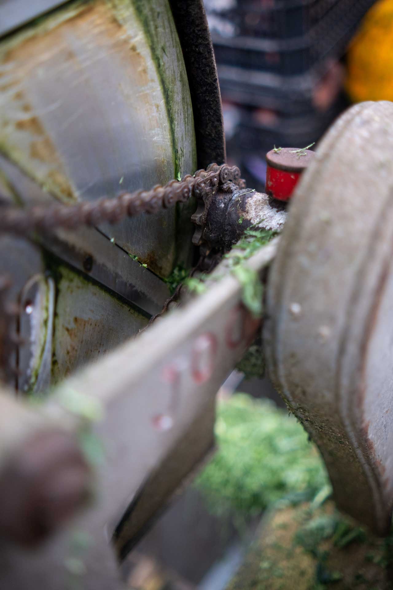 mercado municipal de matosinhos gallery image