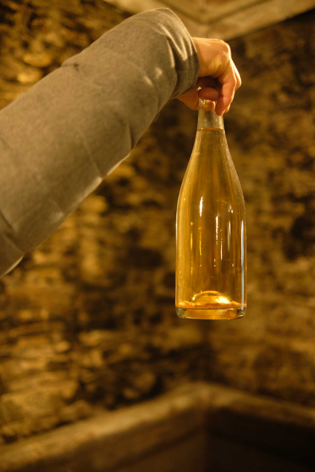 Pedro Milanos - Quinta da Senhora da Graça. gallery image