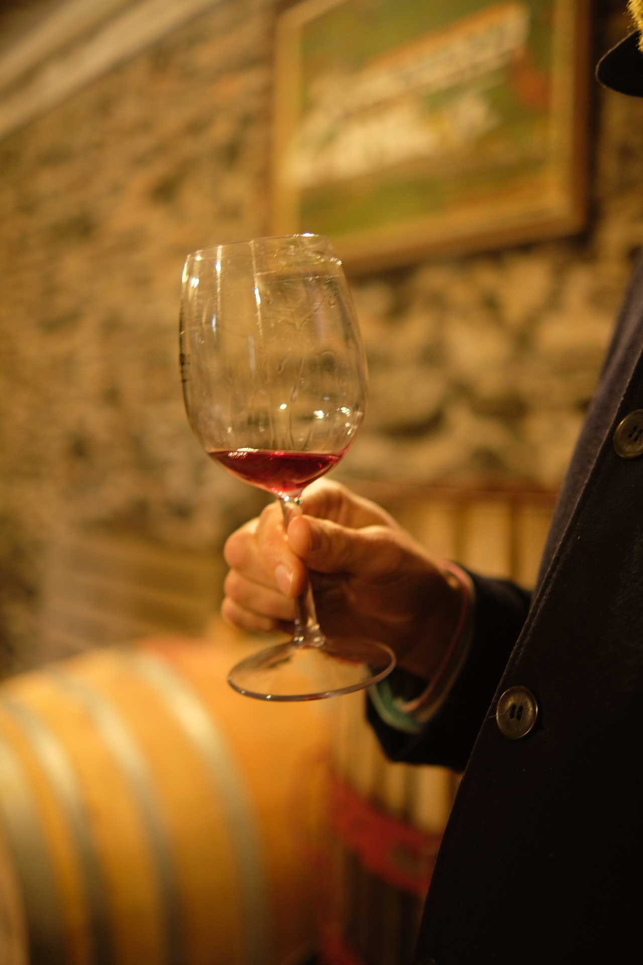 Pedro Milanos - Quinta da Senhora da Graça. gallery image