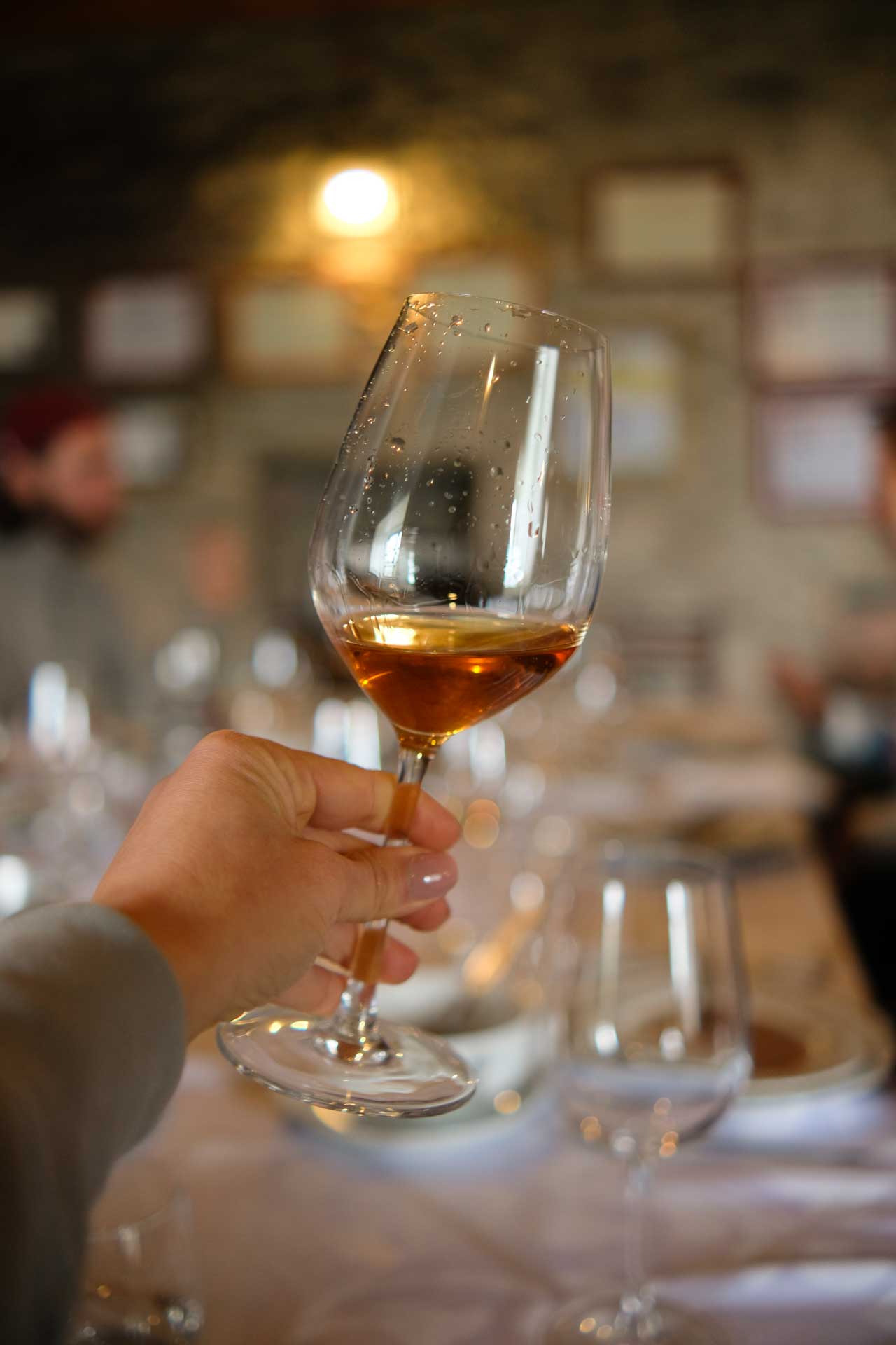 Pedro Milanos - Quinta da Senhora da Graça. gallery image