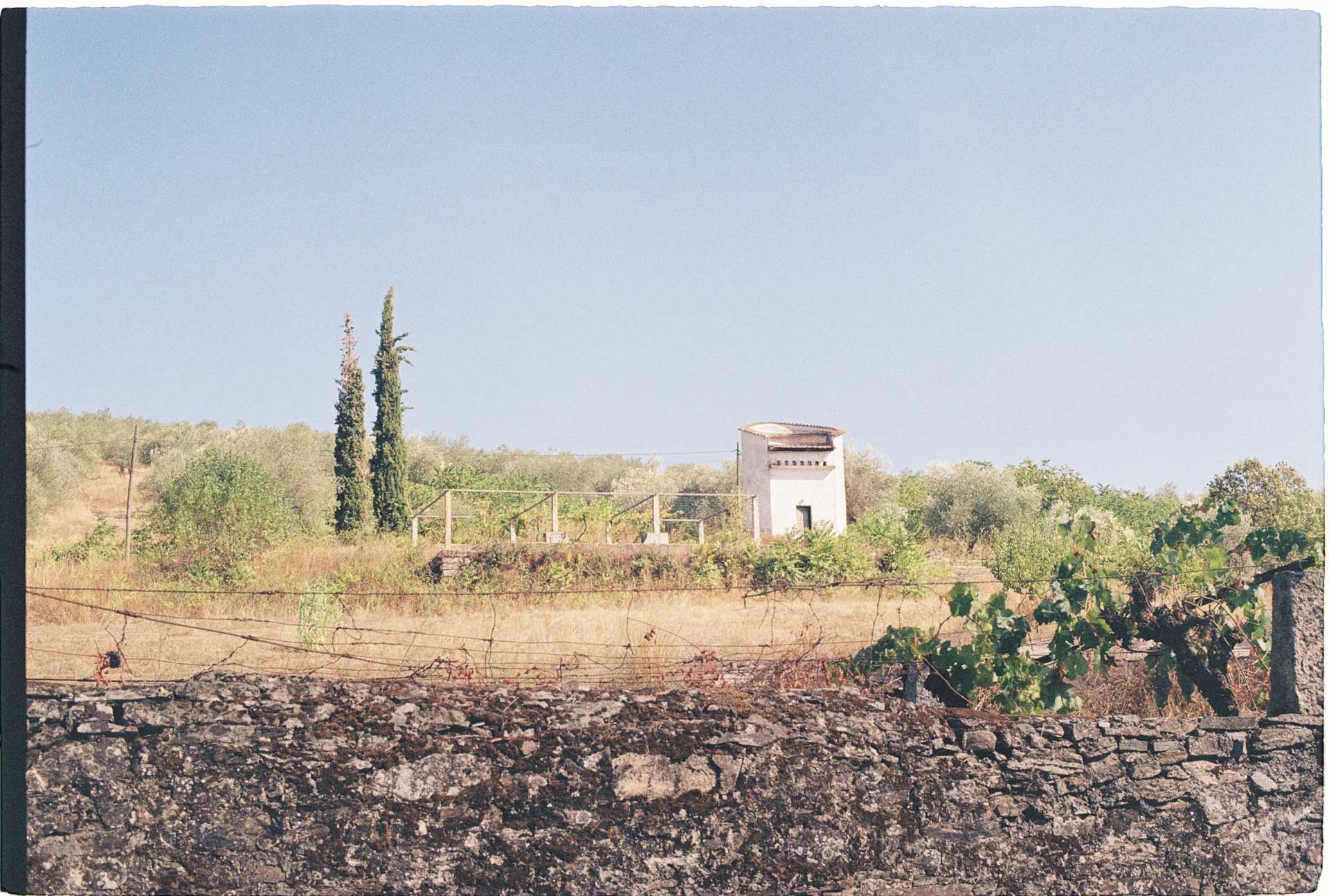 norte 2024/09 gallery image